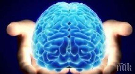 всеки пети жител земята интелигентен ген