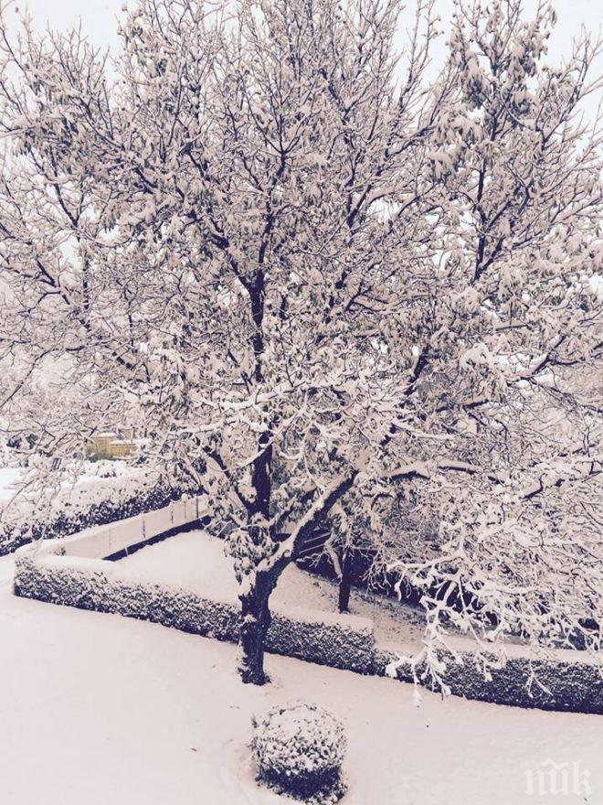 Метеоролозите сбъркали с прогнозата си за историческа снежна буря в САЩ