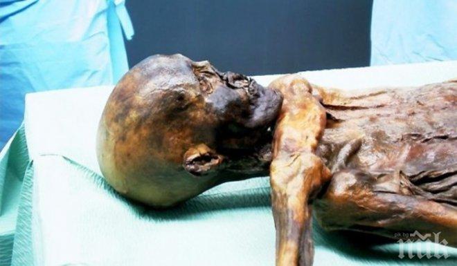 Невероятно откритие! Намериха 200-годишна мумия на медитиращ монах в Монголия