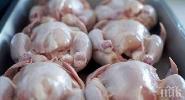 Македония забрани вноса на пилешко и яйца от България