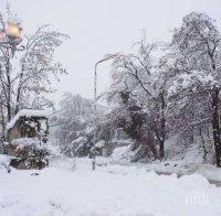 тасс оранжев код опасност студ снеговалежи англия