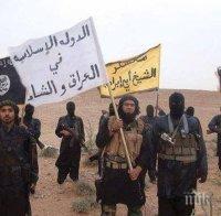 Египетски съд обяви крило на 