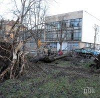 Само в ПИК! Вижте ужаса след стихията във Вършец! (ексклузивни снимки)