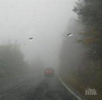 Ураган в прохода Петрохан! Повалени дървета спряха движението! В събота - бури над цялата страна