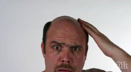 супер новина плешивците създадоха успешно лечение косопад