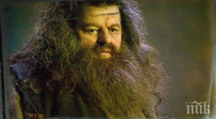 актьор хари потър постъпи болница