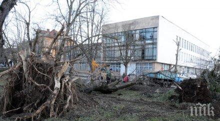 пик вижте ужаса стихията вършец ексклузивни снимки