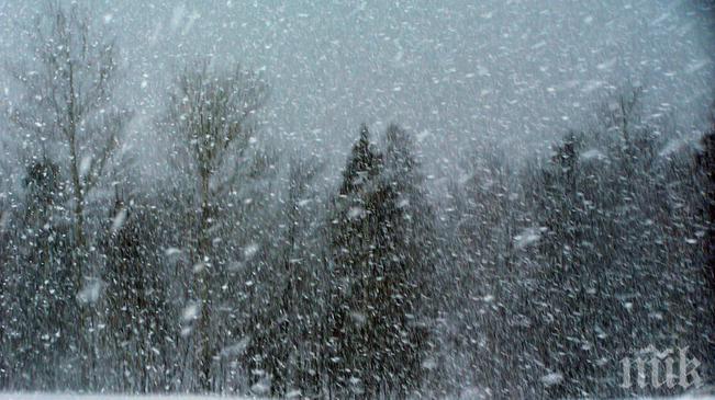 БАН: Днес ще вали дъжд, а в Пирин и Родопите сняг!