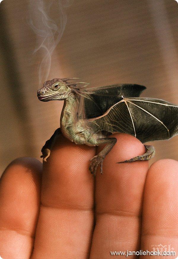 Учени откриха непознат вид динозавър, вдъхновил легендите за драконите 