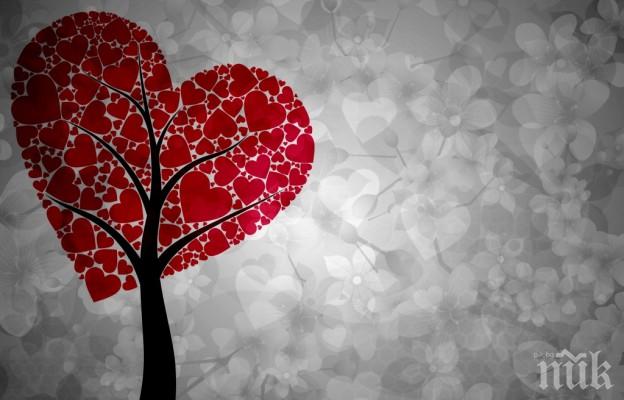 Броим по 130 лева за Свети Валентин
