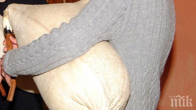 Кметът на Павликени стана гайдар