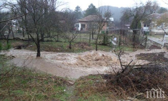 Наводнени улици и дворове в Добричко