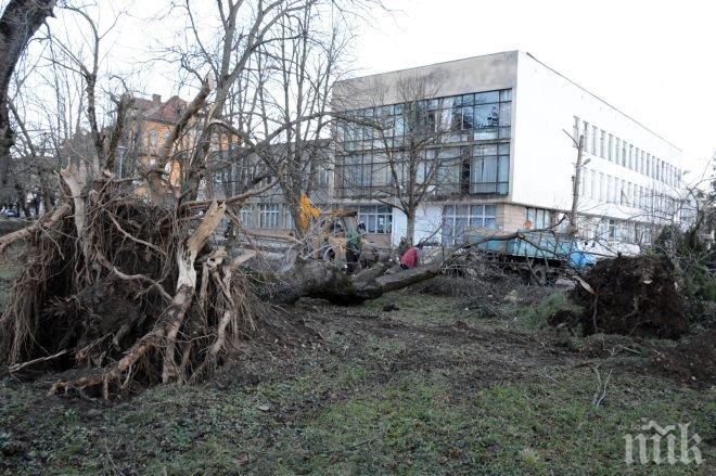Само в ПИК! Вижте ужаса след стихията във Вършец! (ексклузивни снимки)