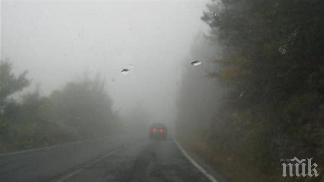 Ураган в прохода Петрохан! Повалени дървета спряха движението! В събота - бури над цялата страна