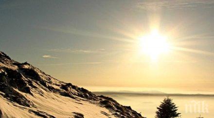 живакът тръгва нагоре сряда очаква слънчево утро ветровит следобед снимка