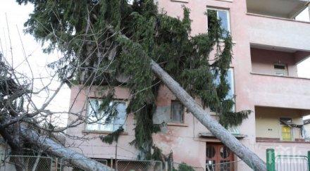 отмениха бедственото положение вършец