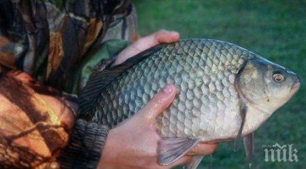 заловиха двама бракониери жребчево