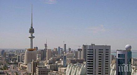 перник търсят стюардеси кувейт