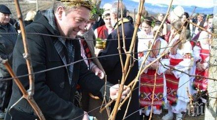 вижте новият цар виното