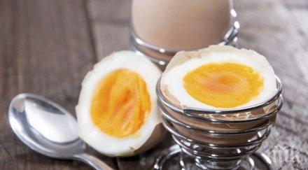 учени консумацията яйца прави щедри