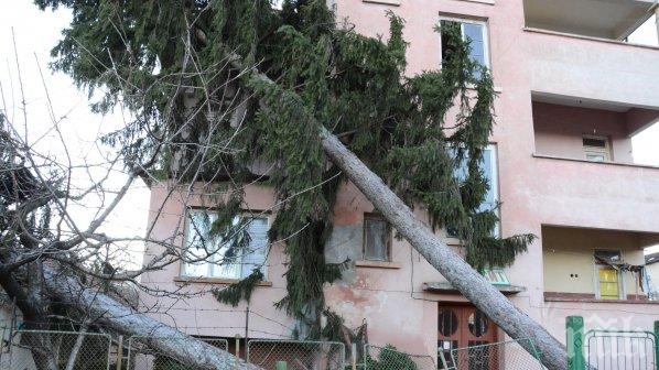 Отмениха бедственото положение във Вършец