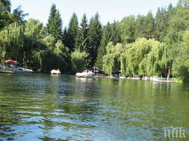 Велинград излезе на протест, брани емблематичния парк Клептуза“