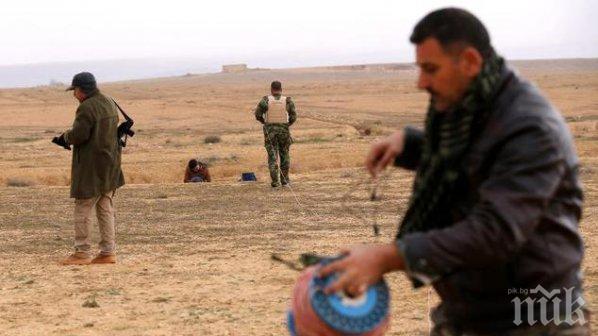 Намериха тленните останки на 25 язиди в масов гроб в Ирак