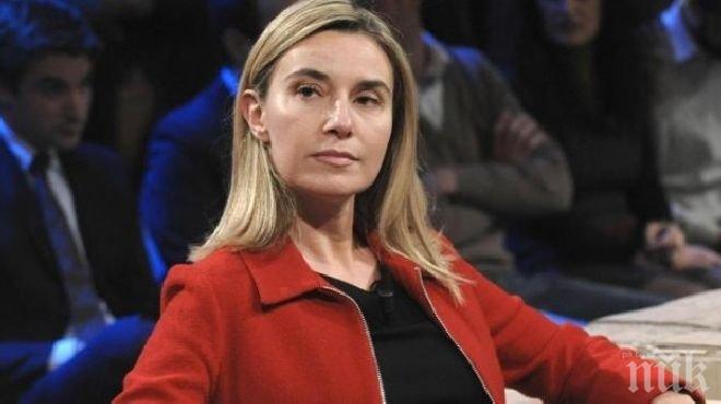 Могерини: ЕС ще направи всичко за подвеждането под отговорност на убийците на японския журналит

