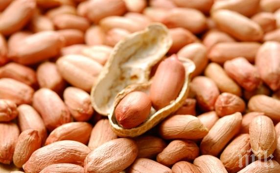 5 причини да обичаме фъстъците