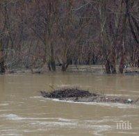 БЧК предостави помощи на Дългопол и Провадия