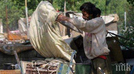 перник обособи района предимно цигани