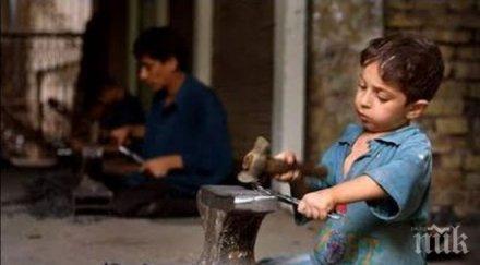 часа седмица работят близо 000 деца турция