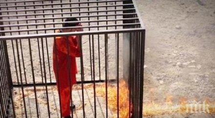 йордания атакува ислямска държава сирия обновена