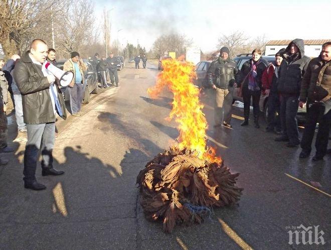 Тютюнопроизводители подпалиха продукцията си в знак на протест (снимки)