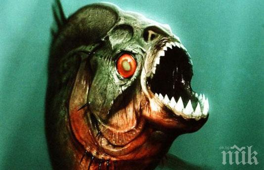 Пирани убиха 6-годишно дете