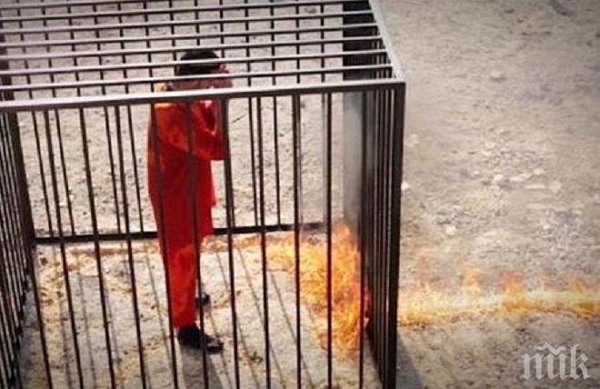 Фокс нюз показа екзекуцията на йорданския пилот Муас ал Касасбех
