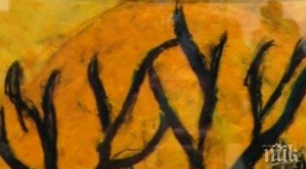 шестокласник русе картина музея ван гог