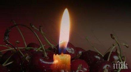 допълнителен транспорт задушница софия