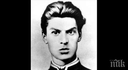 данъчни инспектори откриха пушката панайот волов