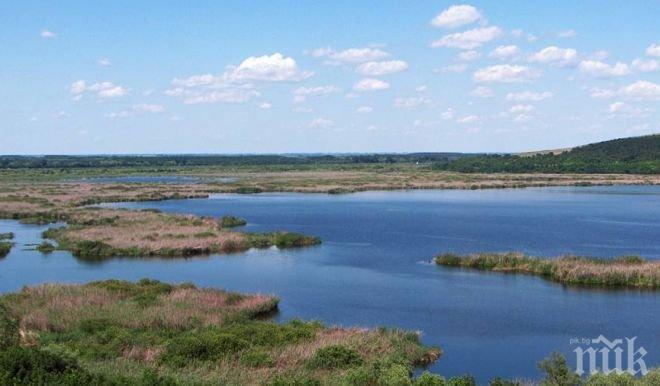 Забраниха риболова заради птичия грип