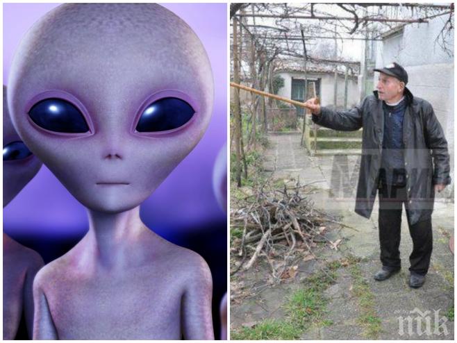 Като от научна фантастика! 16 мълчаливи извънземни редовно посещават къща в Пловдивско! Собственикът ги плаши с пистолет