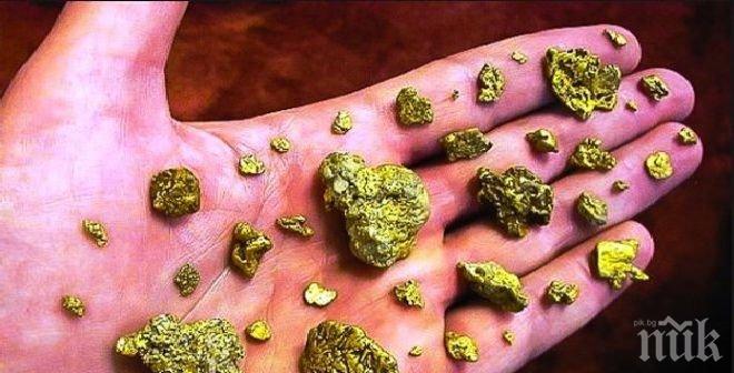 Пастир намери 7,85-килограмово златно кюлче