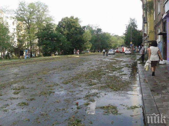 Безумие! Габровци сами си правят улици