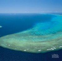 Има риск Големият бариерен риф да се превърне в сметище