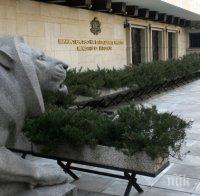 САМО В ПИК! СРС-та по делото 