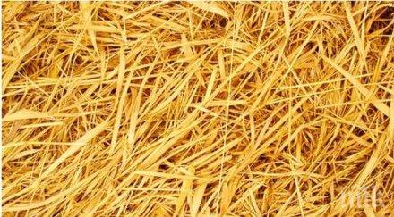 продават къщи слама великобритания