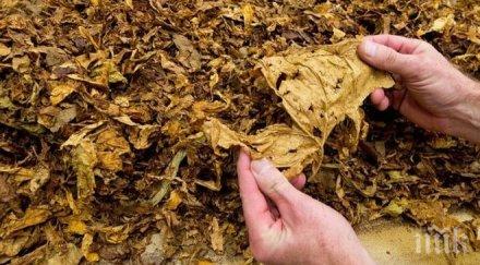 мъж превозва чували тютюн без бандерол сунгурларе бил длъжник