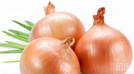 товарен кораб достави плодове зеленчуци мкс