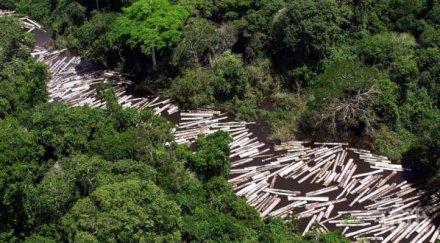 настояват криминализиране бракониерството