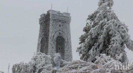 сняг шипка забраниха движението камиони тона